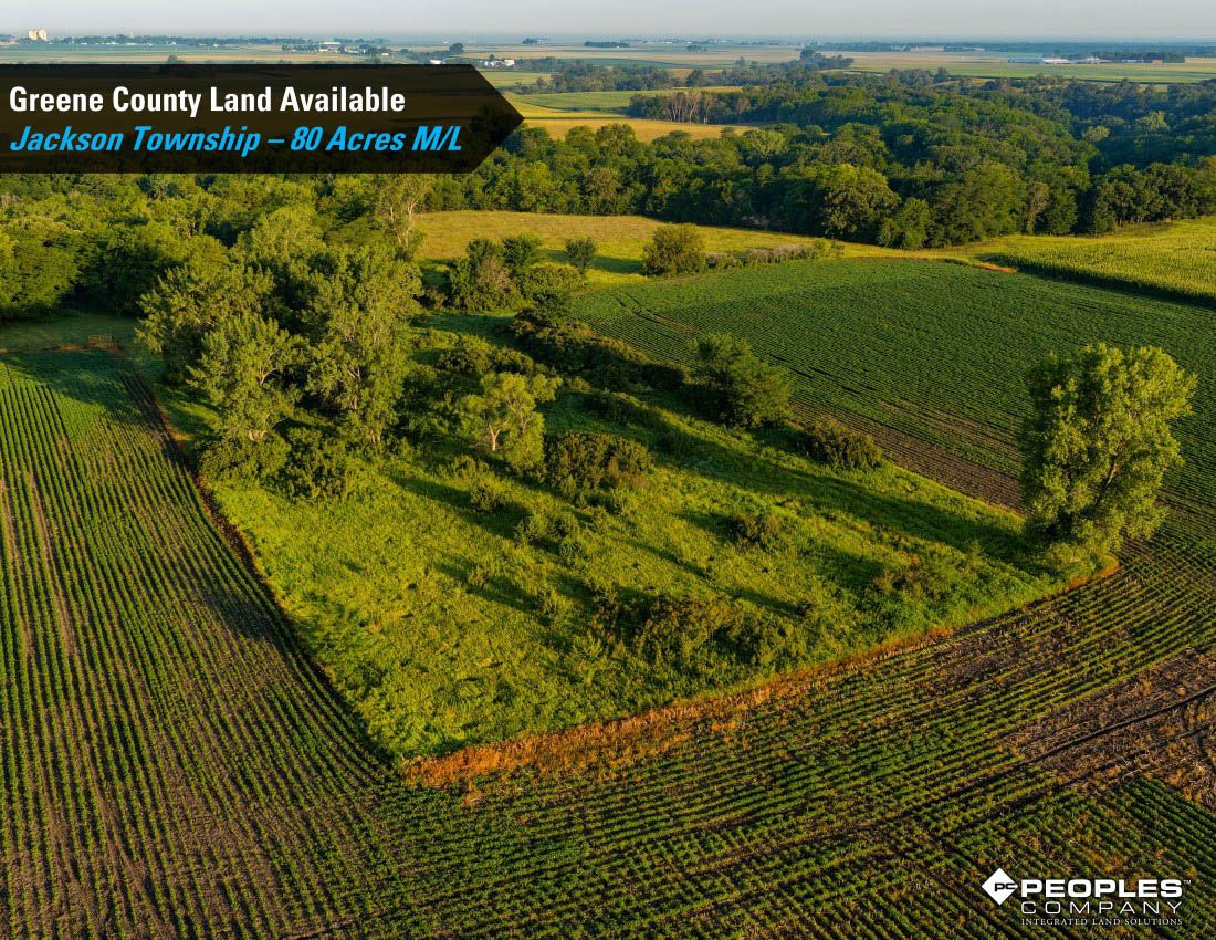 Listing Photo: Greene-County-Iowa-Farmland-Available-80-Acres-Scranton-Jefferson-19706 (7)